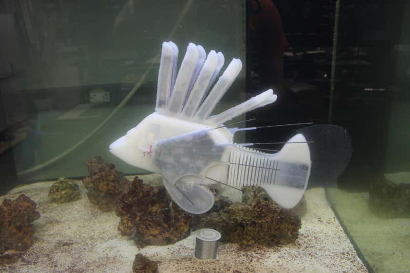 Un poisson robot au sang synthétique nage pendant 37 heures