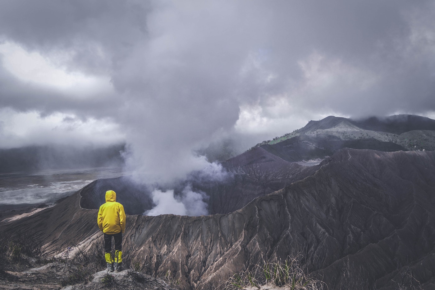 L'urgence climatique est proche d'une caractéristique d'extinctions massives