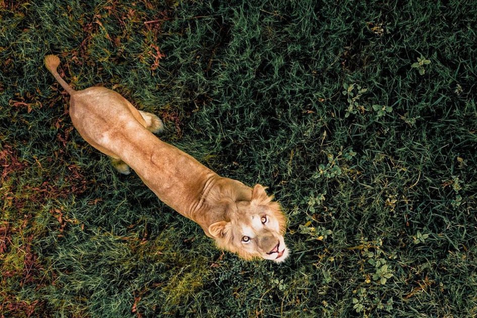 De superbes images prises du ciel