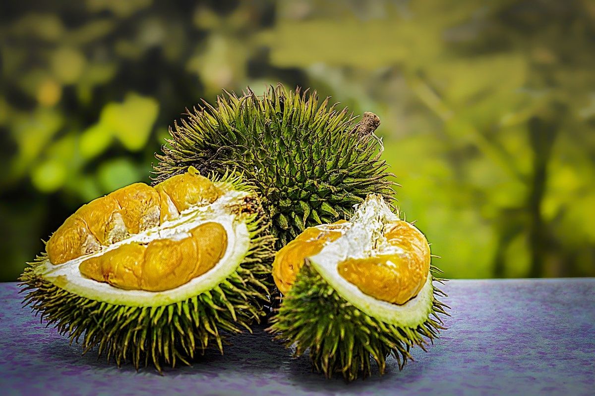 Le fruit Durian pourrait être la clé pour charger rapidement vos appareils