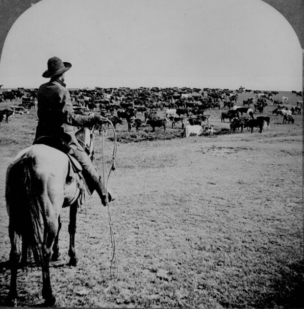 Plus de photos incroyables de l’ouest américain