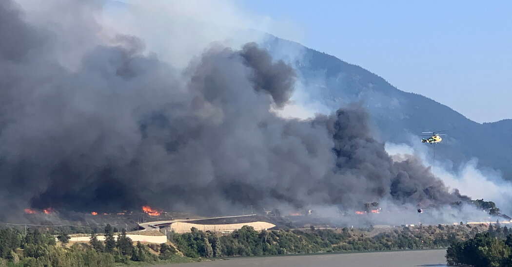 La vague de chaleur pourrait renforcer les feux de forêt au Canada