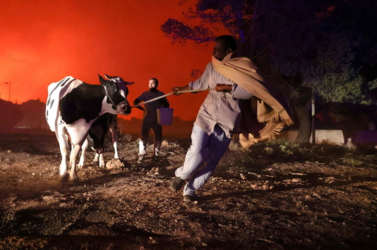 Des photos montrent l’ampleur des incendies de forêt qui ravagent la Grèce